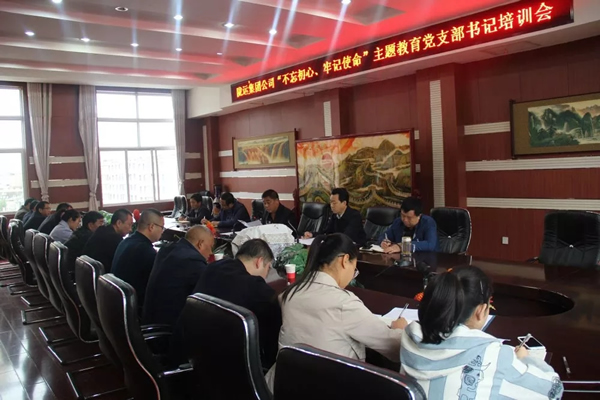 隴運集團公司召開“不忘初心、牢記使命”主題教育黨支部書記培訓(xùn)會